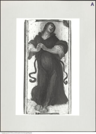 Vorderseite von bh518469_recto