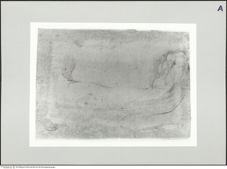 Vorderseite von bh518484_recto