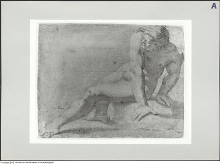 Vorderseite von bh518486_recto