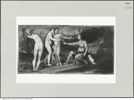 Vorderseite von bh518515_recto