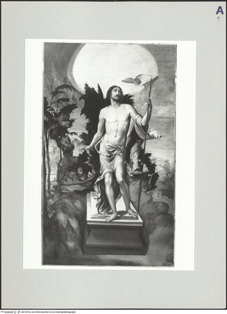 Vorderseite von bh518518_recto