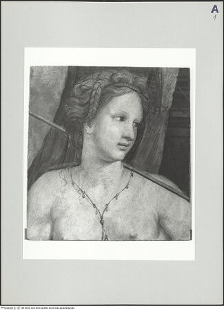 Vorderseite von bh518520_recto