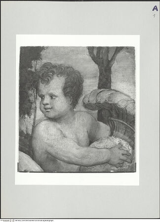 Vorderseite von bh518522_recto