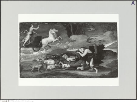 Vorderseite von bh518537_recto