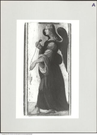 Vorderseite von bh518546_recto