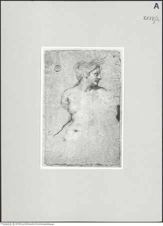 Vorderseite von bh518633_recto