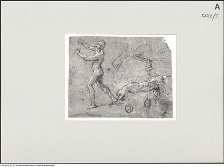 Vorderseite von bh518634_recto