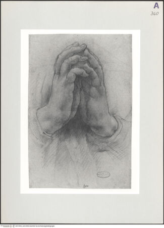 Vorderseite von bh519002_recto