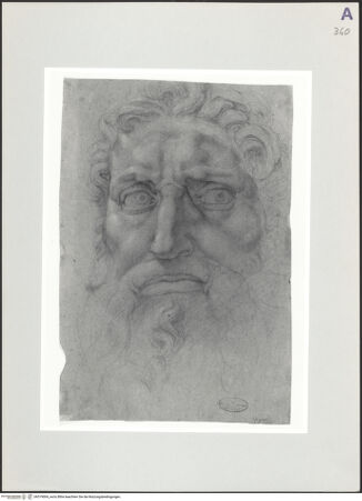 Vorderseite von bh519004_recto