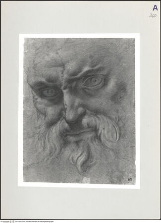 Vorderseite von bh519005_recto