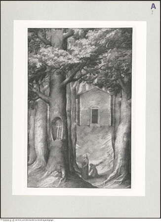 Vorderseite von bh519010_recto