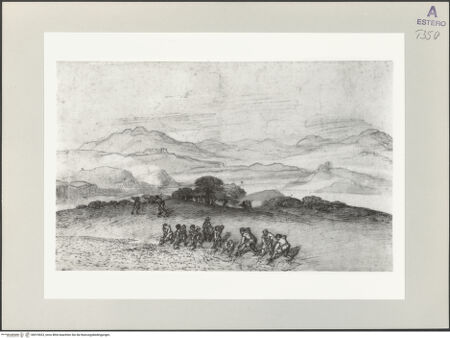 Vorderseite von bh519023_recto