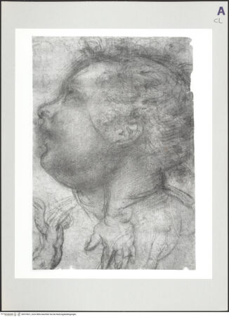 Vorderseite von bh519031_recto