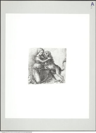 Vorderseite von bh519035_recto