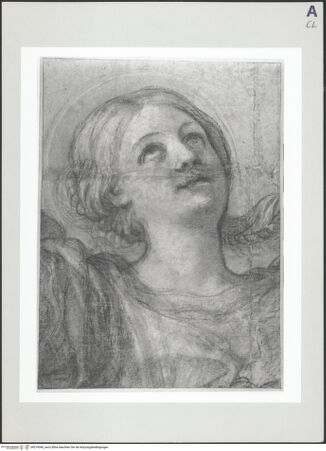 Vorderseite von bh519046_recto