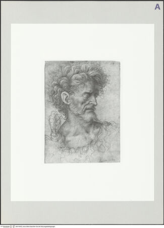 Vorderseite von bh519052_recto