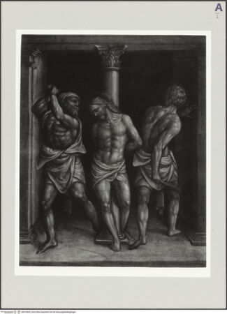 Vorderseite von bh519055_recto