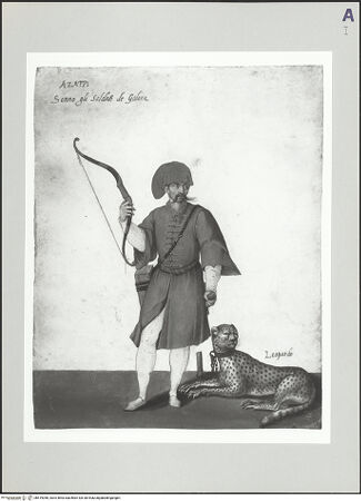 Vorderseite von bh519056_recto