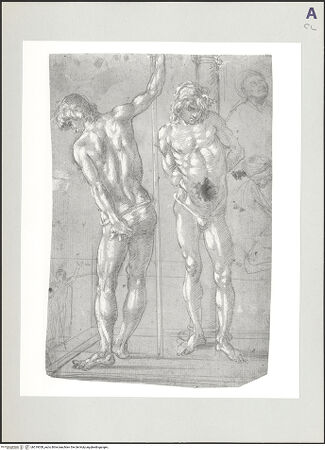 Vorderseite von bh519058_recto