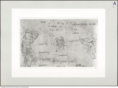 Vorderseite von bh519064_recto