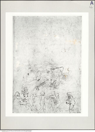 Vorderseite von bh519066_recto