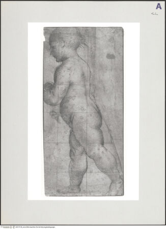 Vorderseite von bh519138_recto