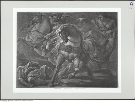 Vorderseite von bh519158_recto