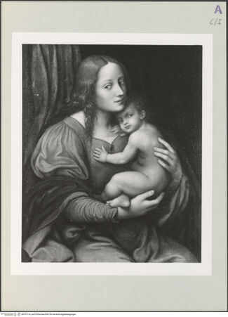 Vorderseite von bh519174_recto