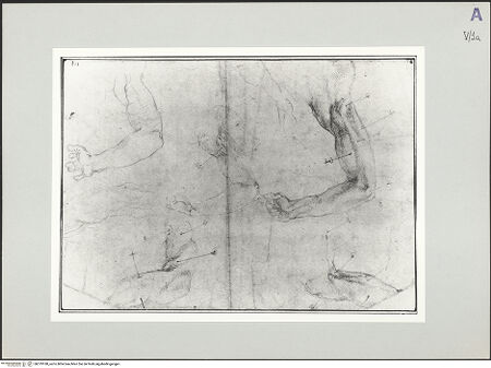 Vorderseite von bh519180_recto