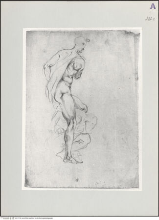 Vorderseite von bh519182_recto