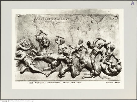 Vorderseite von bh519193_recto