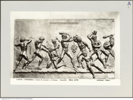 Vorderseite von bh519194_recto