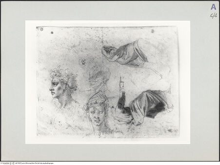 Vorderseite von bh519207_recto