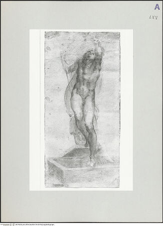 Vorderseite von bh519209_recto