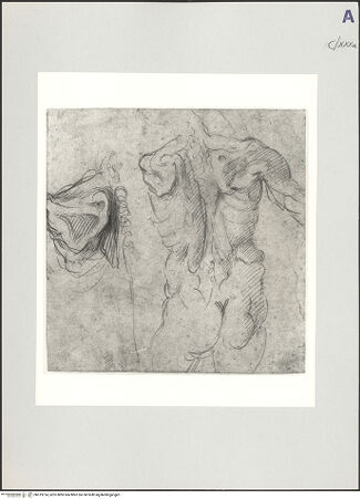 Vorderseite von bh519214_recto