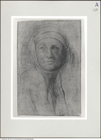 Vorderseite von bh519219_recto