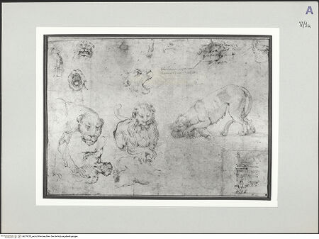 Vorderseite von bh519233_recto