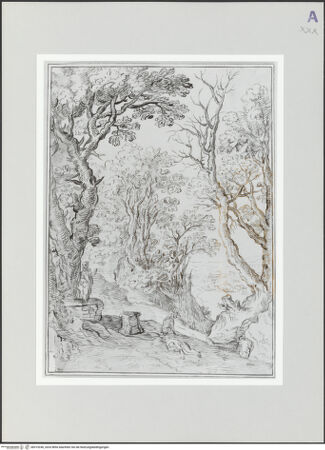 Vorderseite von bh519246_recto