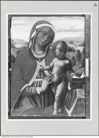 Vorderseite von bh519265_recto