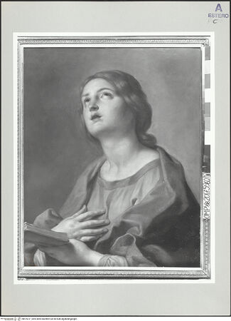 Vorderseite von bh519317_recto