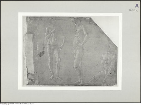 Vorderseite von bh519355_recto