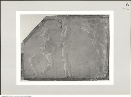 Vorderseite von bh519356_recto