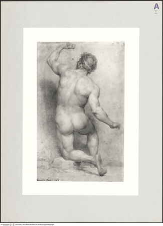 Vorderseite von bh519362_recto