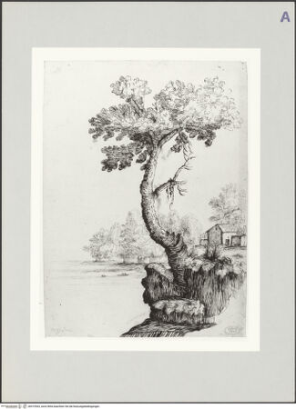 Vorderseite von bh519363_recto