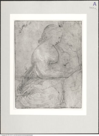 Vorderseite von bh519371_recto