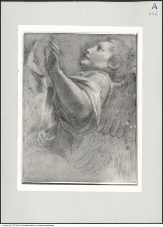 Vorderseite von bh519373_recto