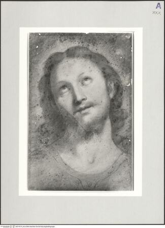 Vorderseite von bh519374_recto