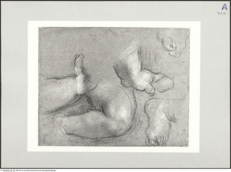 Vorderseite von bh519375_recto