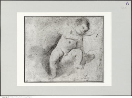 Vorderseite von bh519380_recto