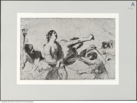 Vorderseite von bh519382_recto